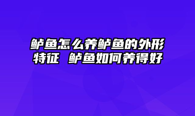 鲈鱼怎么养鲈鱼的外形特征 鲈鱼如何养得好