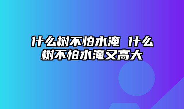 什么树不怕水淹 什么树不怕水淹又高大