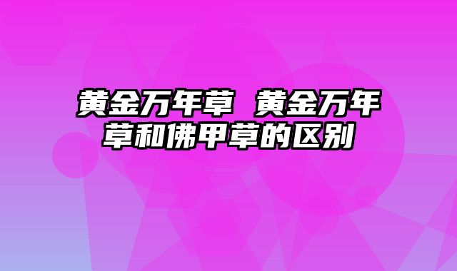 黄金万年草 黄金万年草和佛甲草的区别