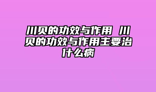川贝的功效与作用 川贝的功效与作用主要治什么病