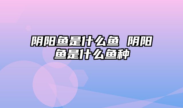 阴阳鱼是什么鱼 阴阳鱼是什么鱼种