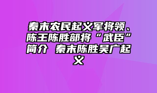 秦末农民起义军将领、陈王陈胜部将“武臣”简介 秦末陈胜吴广起义