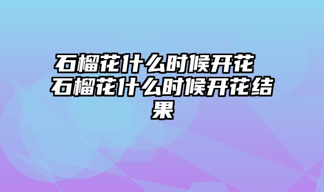 石榴花什么时候开花 石榴花什么时候开花结果