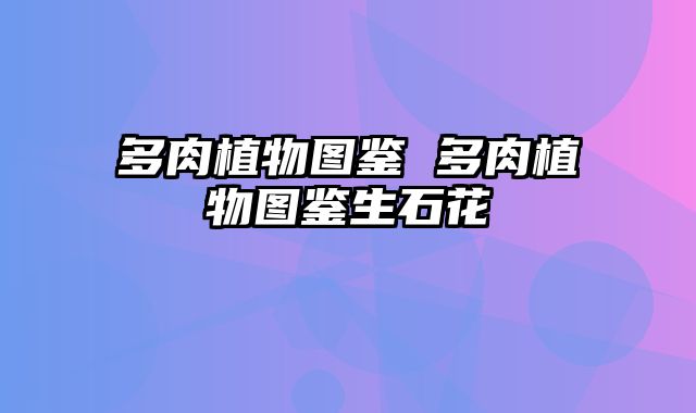 多肉植物图鉴 多肉植物图鉴生石花