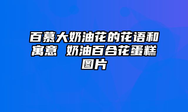 百慕大奶油花的花语和寓意 奶油百合花蛋糕图片