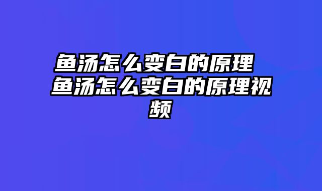 鱼汤怎么变白的原理 鱼汤怎么变白的原理视频
