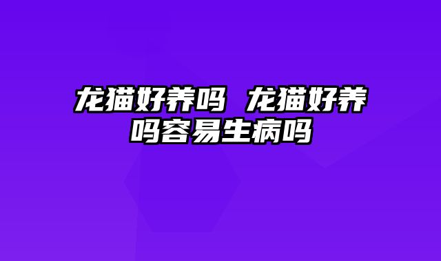 龙猫好养吗 龙猫好养吗容易生病吗