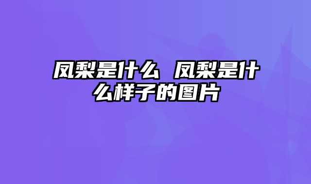 凤梨是什么 凤梨是什么样子的图片