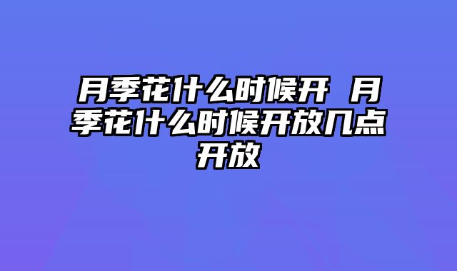 月季花什么时候开 月季花什么时候开放几点开放