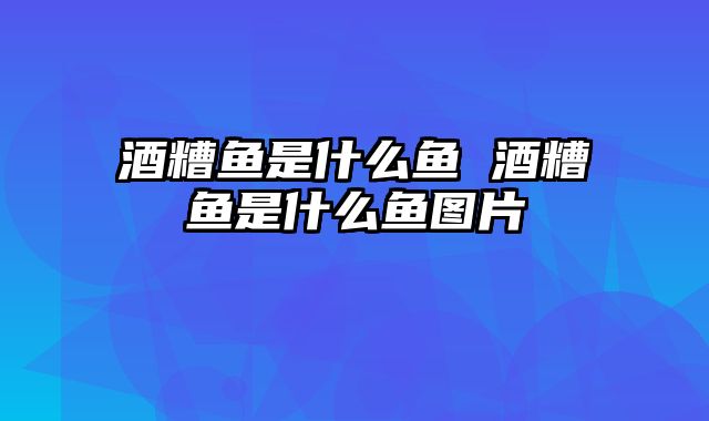 酒糟鱼是什么鱼 酒糟鱼是什么鱼图片