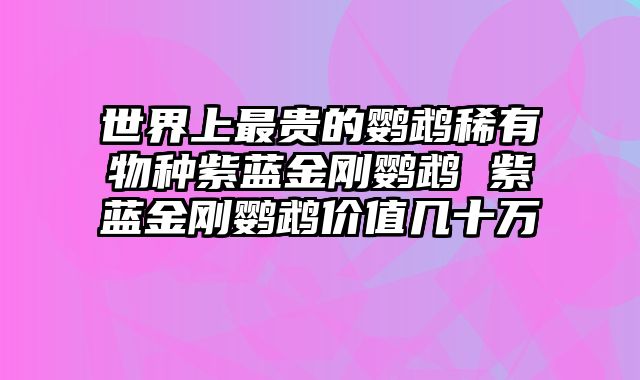 世界上最贵的鹦鹉稀有物种紫蓝金刚鹦鹉 紫蓝金刚鹦鹉价值几十万