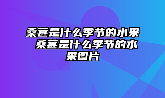 桑葚是什么季节的水果 桑葚是什么季节的水果图片