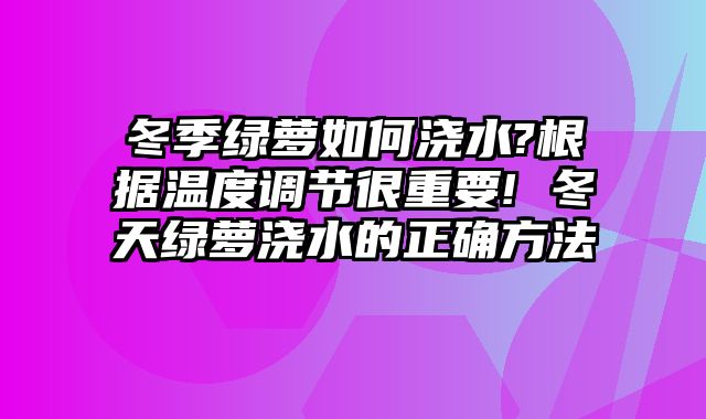冬季绿萝如何浇水?根据温度调节很重要! 冬天绿萝浇水的正确方法