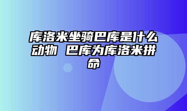 库洛米坐骑巴库是什么动物 巴库为库洛米拼命