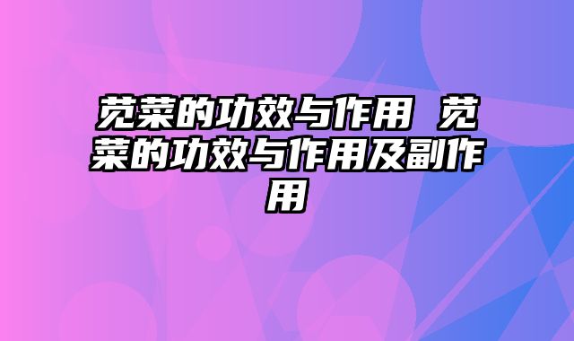 苋菜的功效与作用 苋菜的功效与作用及副作用