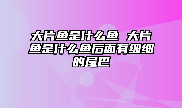 大片鱼是什么鱼 大片鱼是什么鱼后面有细细的尾巴