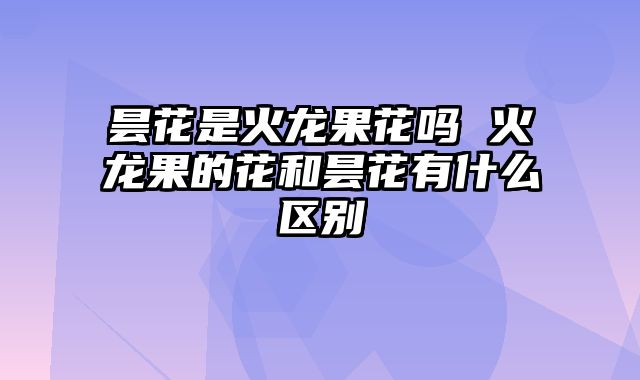 昙花是火龙果花吗 火龙果的花和昙花有什么区别