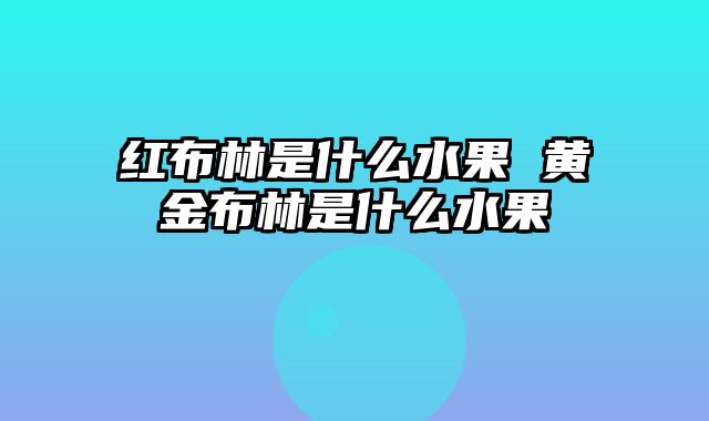 红布林是什么水果 黄金布林是什么水果