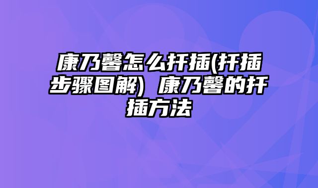 康乃馨怎么扦插(扦插步骤图解) 康乃馨的扦插方法