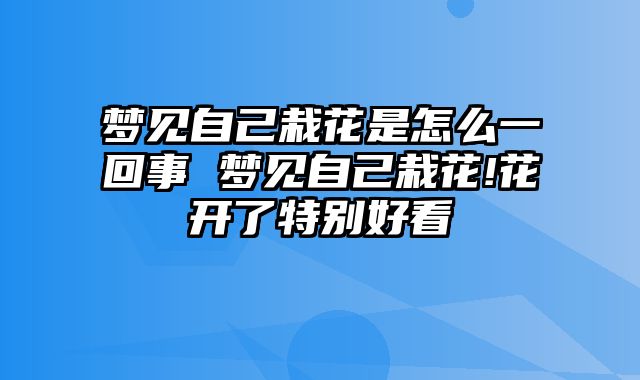 梦见自己栽花是怎么一回事 梦见自己栽花!花开了特别好看