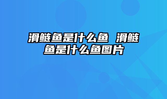 滑鲢鱼是什么鱼 滑鲢鱼是什么鱼图片