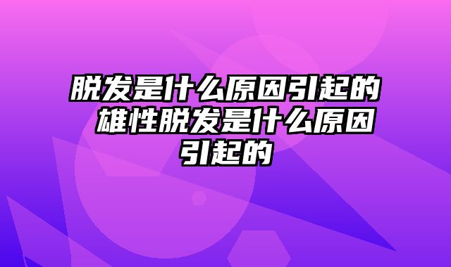 脱发是什么原因引起的 雄性脱发是什么原因引起的