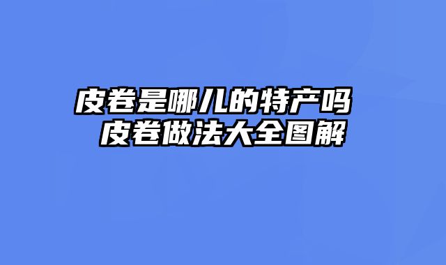 皮卷是哪儿的特产吗 皮卷做法大全图解