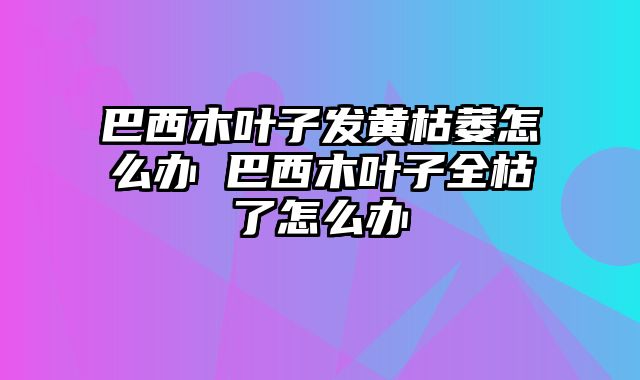 巴西木叶子发黄枯萎怎么办 巴西木叶子全枯了怎么办