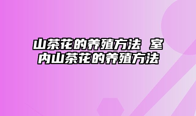 山茶花的养殖方法 室内山茶花的养殖方法