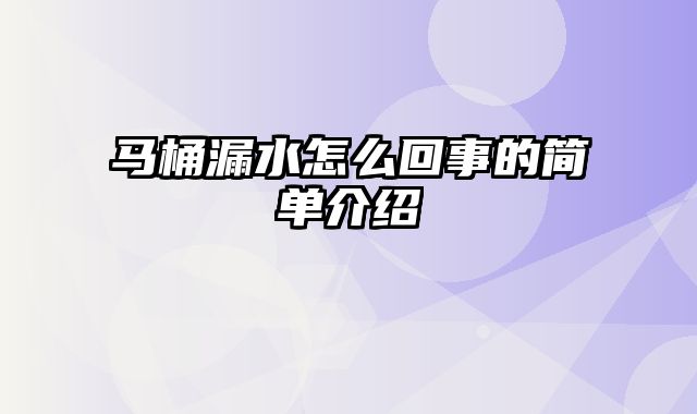 马桶漏水怎么回事的简单介绍