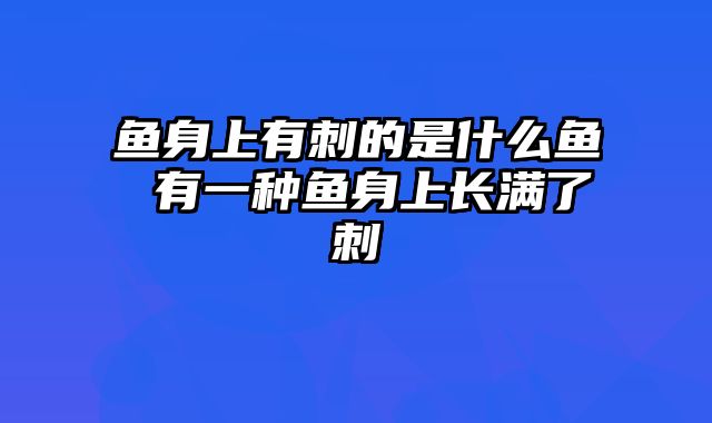 鱼身上有刺的是什么鱼 有一种鱼身上长满了刺