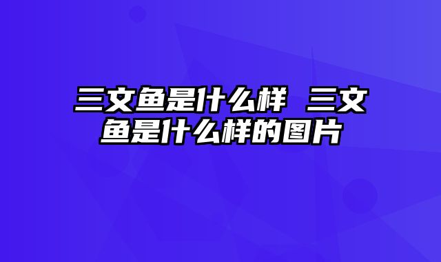 三文鱼是什么样 三文鱼是什么样的图片