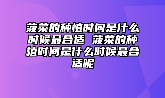 菠菜的种植时间是什么时候最合适 菠菜的种植时间是什么时候最合适呢