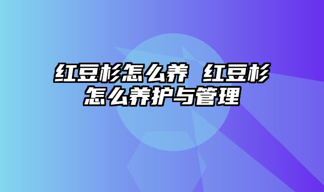 红豆杉怎么养 红豆杉怎么养护与管理