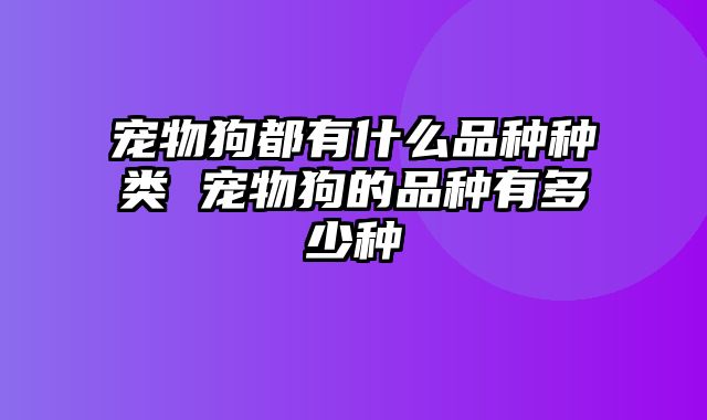 宠物狗都有什么品种种类 宠物狗的品种有多少种