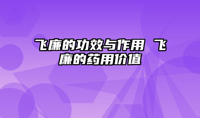飞廉的功效与作用 飞廉的药用价值