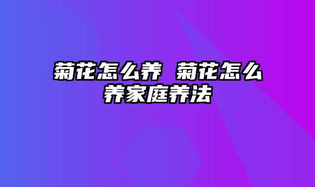 菊花怎么养 菊花怎么养家庭养法