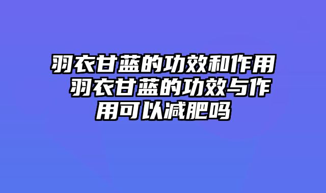 羽衣甘蓝的功效和作用 羽衣甘蓝的功效与作用可以减肥吗