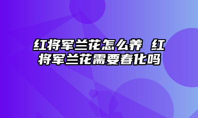 红将军兰花怎么养 红将军兰花需要春化吗