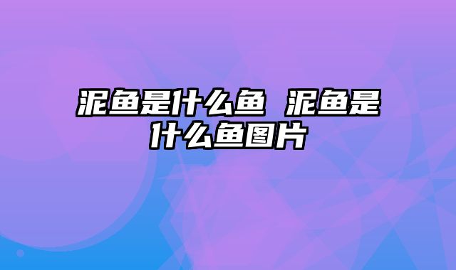 泥鱼是什么鱼 泥鱼是什么鱼图片