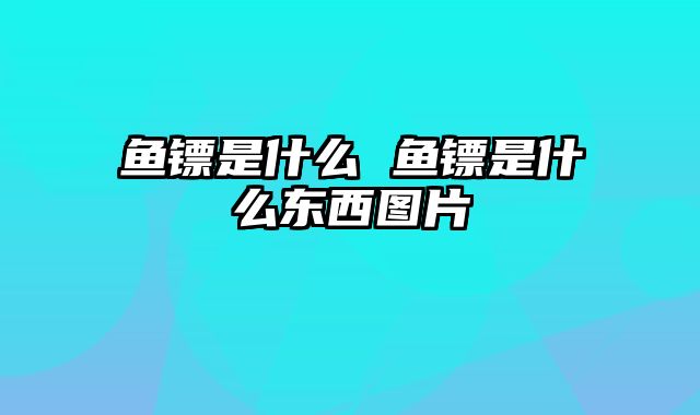 鱼镖是什么 鱼镖是什么东西图片