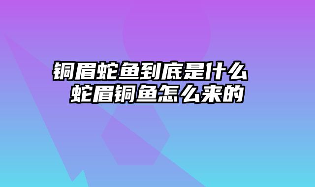 铜眉蛇鱼到底是什么 蛇眉铜鱼怎么来的