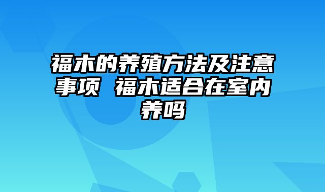 福木的养殖方法及注意事项 福木适合在室内养吗