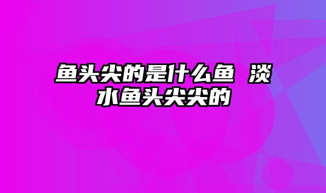 鱼头尖的是什么鱼 淡水鱼头尖尖的