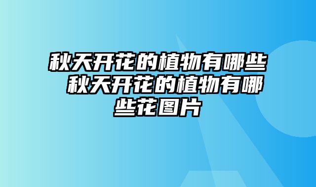 秋天开花的植物有哪些 秋天开花的植物有哪些花图片