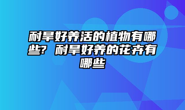 耐旱好养活的植物有哪些? 耐旱好养的花卉有哪些