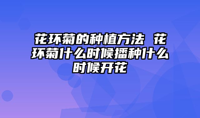 花环菊的种植方法 花环菊什么时候播种什么时候开花