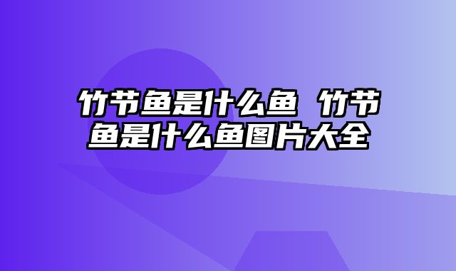 竹节鱼是什么鱼 竹节鱼是什么鱼图片大全