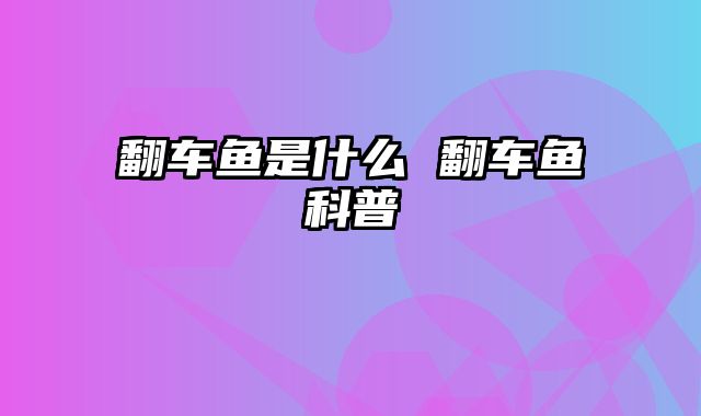 翻车鱼是什么 翻车鱼科普
