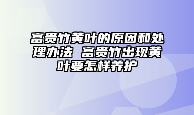 富贵竹黄叶的原因和处理办法 富贵竹出现黄叶要怎样养护